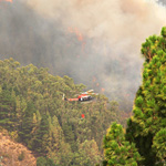 Forest Fires in Tenerife
